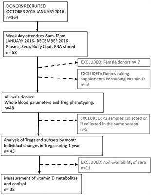 The Migratory Properties and Numbers of T Regulatory Cell Subsets in Circulation Are Differentially Influenced by Season and Are Associated With Vitamin D Status